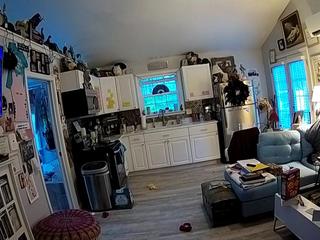 voyeurcam-bridgetleewalters-01