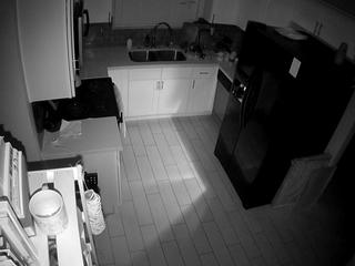 voyeurcam-missoliviablack-01