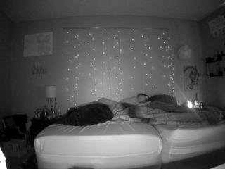 voyeurcam-bobbidylan-01